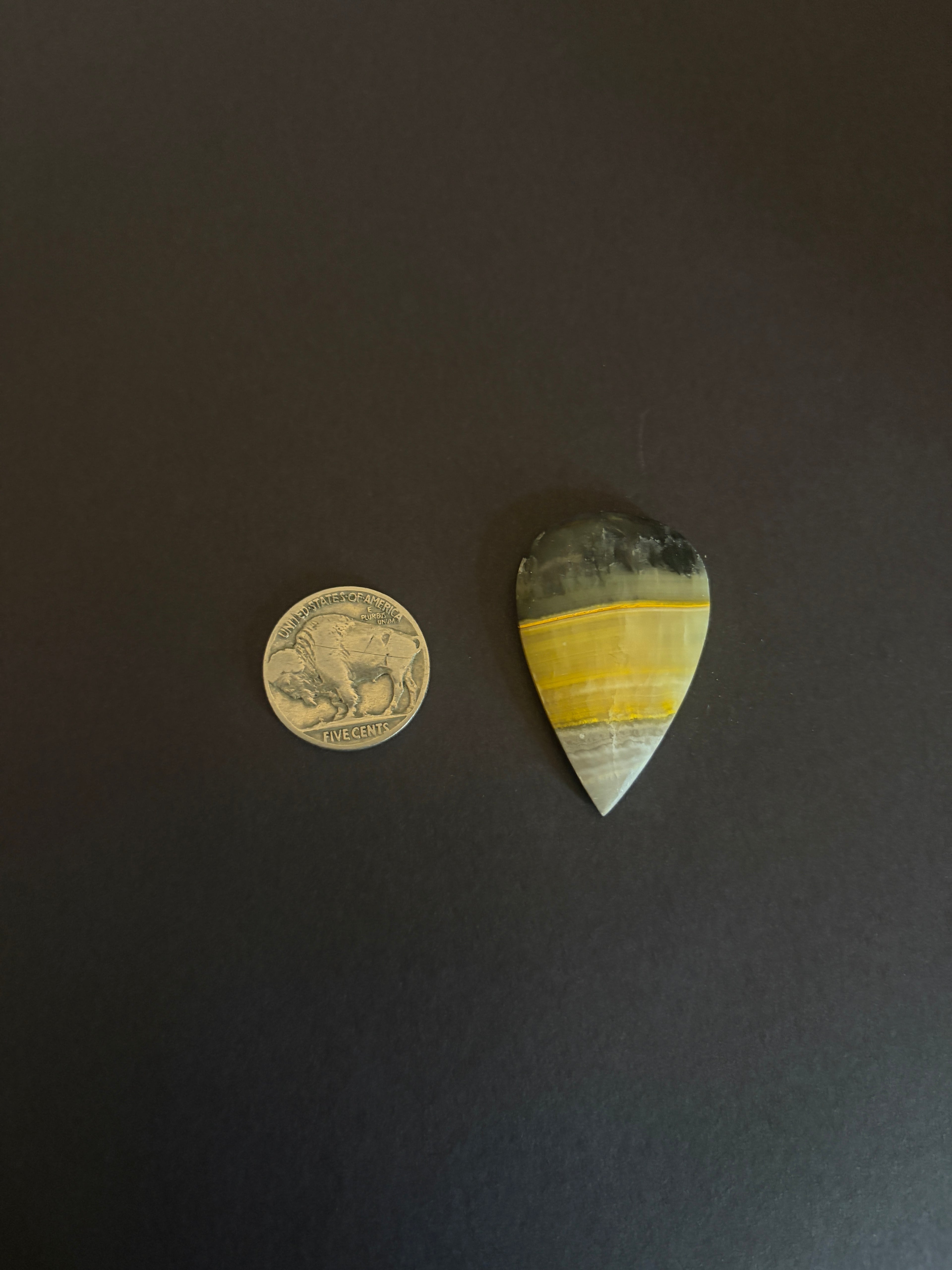 Bumblebee Jasper teardrop cab